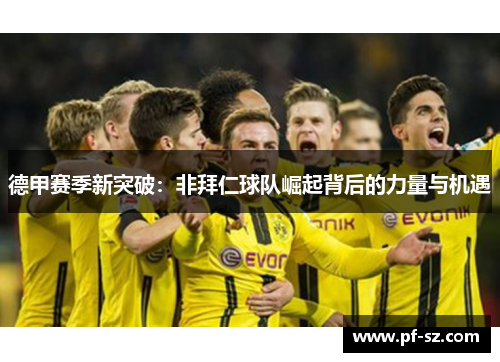 德甲赛季新突破:非拜仁球队崛起背后的力量与机遇 德甲赛季新突破:非拜仁球队崛起背后的力量与机遇