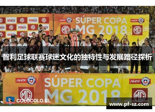 智利足球联赛球迷文化的独特性与发展路径探析 智利足球联赛球迷文化的独特性与发展路径探析