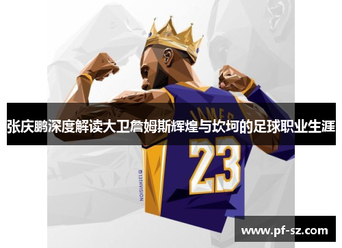 张庆鹏深度解读大卫詹姆斯辉煌与坎坷的足球职业生涯 张庆鹏深度解读大卫詹姆斯辉煌与坎坷的足球职业生涯