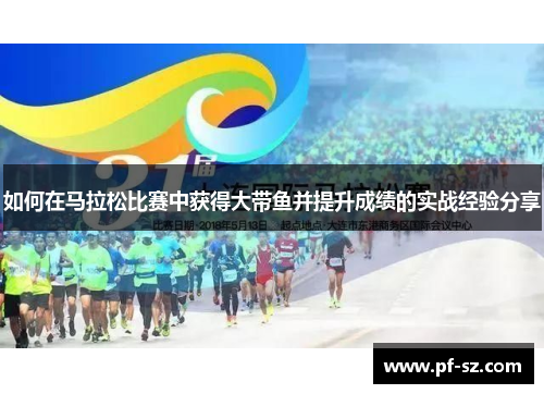 如何在马拉松比赛中获得大带鱼并提升成绩的实战经验分享 如何在马拉松比赛中获得大带鱼并提升成绩的实战经验分享