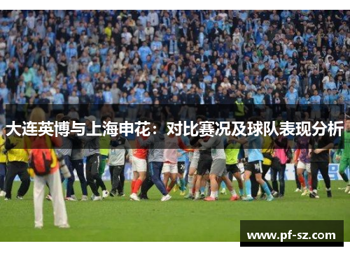 大连英博与上海申花:对比赛况及球队表现分析 大连英博与上海申花:对比赛况及球队表现分析