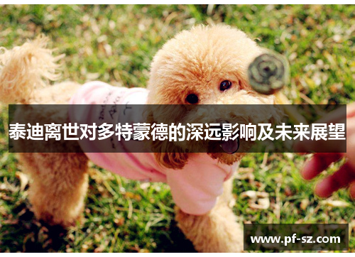 泰迪离世对多特蒙德的深远影响及未来展望 泰迪离世对多特蒙德的深远影响及未来展望