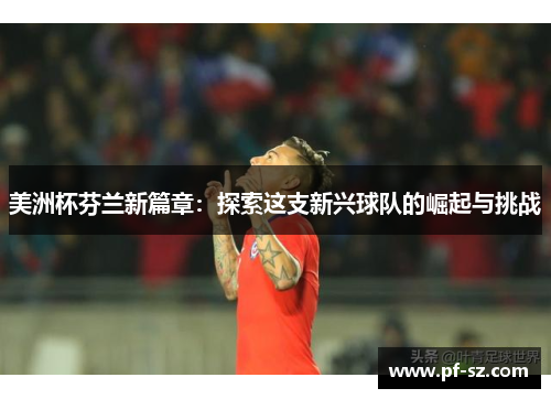 美洲杯芬兰新篇章:探索这支新兴球队的崛起与挑战 美洲杯芬兰新篇章:探索这支新兴球队的崛起与挑战