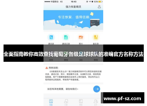 全面指南教你高效查找葡萄牙各级足球球队的准确官方名称方法