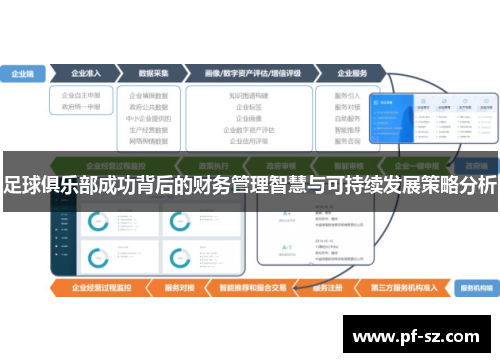 足球俱乐部成功背后的财务管理智慧与可持续发展策略分析